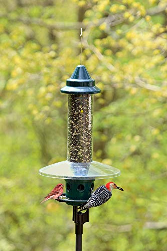 Pole Adaptor for Pole Mounting a Squirrel Buster Plus Bird Feeder, Black (FEEDER & POLE NOT INCLUDED), for 1-inch Pole ONLY