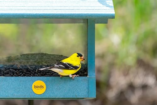 Birds Choice Medium Hopper Bird Feeder | 3lb Capacity | Lake Blue | Made in the USA, Recycled Plastic Construction, Simple to Fill, Weather-Resistant for Year-Round Backyard Use - color: Lake Blue - Medium