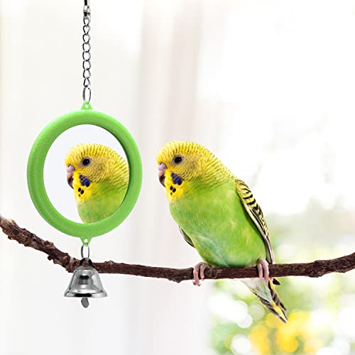 2PCS Bird Mirror with Bell Parrot Hanging Interactive Playing Toy for Cockatiel Parakeets Canaries Budgie Cage Accessories (Green) - color: Green