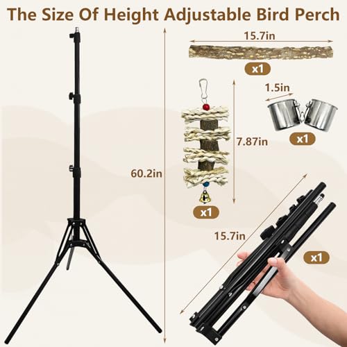 kathson 28-60inches Height Adjustable Bird Perch, Pepperwood Parrot Perch Stand with Feeding Cup, Multi-Purpose Bird Perches for Indoor and Outdoor Use, Designed for Small Medium Birds (3 PCS) - size: Bird Perch with Feeding Cup and Toy (3 Pieces)