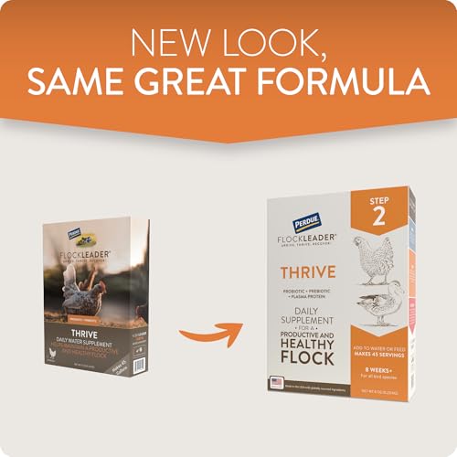 Thrive, Daily Probiotic & Prebiotic Water Supplement for Chickens 8+ Weeks Old, 8 oz (Pack of 2) - color: FlockLeader Thrive, size: 8 Ounce (Pack of 2)