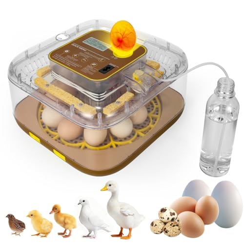 Gen IV - 12 Egg Fully Automatic Incubator, 2026 Upgraded Design, Intelligent Sensor-Based Humidity & Temp Control, Custom Hatch Days, Adjustable Auto Turning with Auto-Stop, 360° View, Alarm, Candler - size: 12 egg-brown
