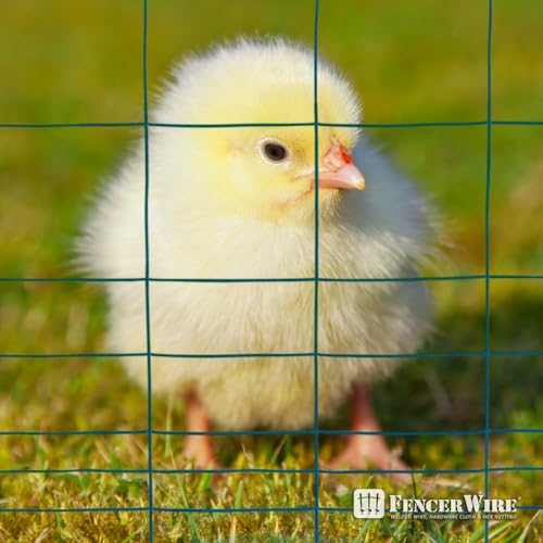 Fencer Wire Green Vinyl Coated 16 Gauge Rabbit Guard Fence, Poultry Outdoor Fencing Barrier Wire Roll for Garden Yard, Protecting Against Rabbits, and Other Small Animals Damage (40 in. x 50 ft.) - size: 40 in. x 50 ft., style: Green Vinyl Coated