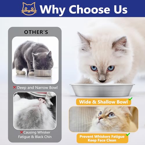 2-Pack 304 Stainless Steel Cat Food Bowls, Non-Slip Basic Dishes | Shallow Whisker-Friendly Silicone Water Metal Bowls, Easy to Clean Indoor Flat Plates for Cat, Kitten, Small Dog (5.9") - color: 2 PCS