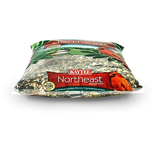 Kaytee Northeast Regional Wild Bird Blend,7-Pound Bag,(Pack of 6) - size: 7 Pound (Pack of 6), style: Northeast