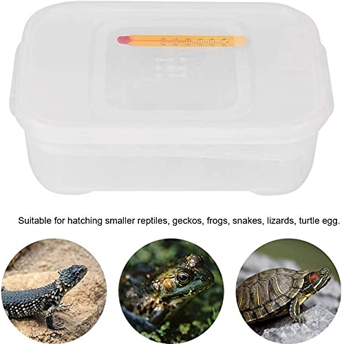 Still Awake Reptile Egg Incubator Professional Hatcher Hatching Box Case Tray Plastic Breeding Incubator for Hatching Snake,Lizards, Reptiles,Gecko(12 Slots with Thermometer)