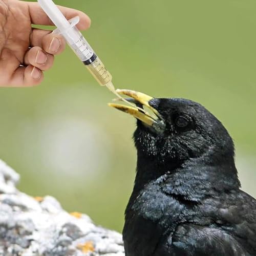 5ml+10ml+20ml Baby Bird Cockatiel Budgie Parrot Pet Hand Rearing Feeding Syringes Crop Tubes 3Pcs