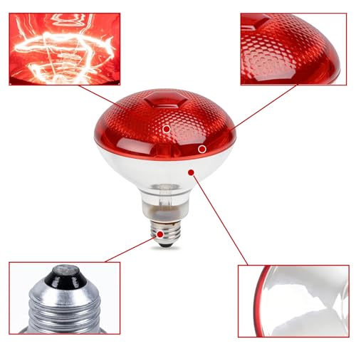 6 Pack 250W Chicken Heat Lamp Bulbs, Infrared Heat Lamp for Chickens, Heat Light Bulb for Brooder Coop, Food Service, Chicks, Pet, Reptile