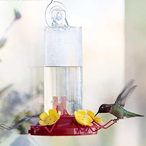 Perky-Pet Window Mount Hummingbird Feeder, 8 oz Nectar Capacity | 3 Bee Guard Ports, Suction Cup & Removable Perches, Plastic Shatter-Resistant Bottle for Outdoor Backyard Bird Watching, 217 - size: 1 Pack