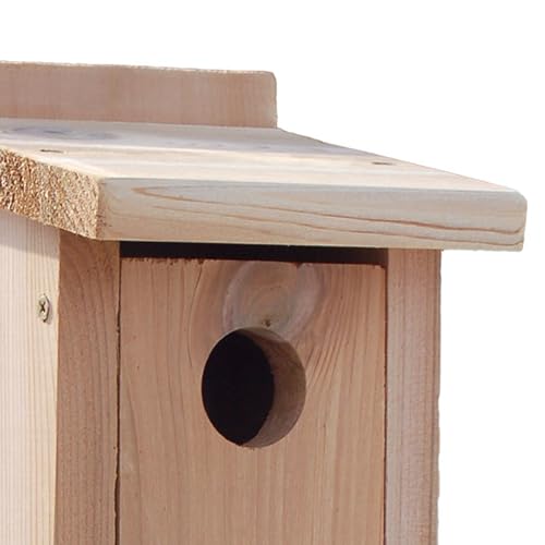 Four Pack of Audubon Cedar Bluebird Houses