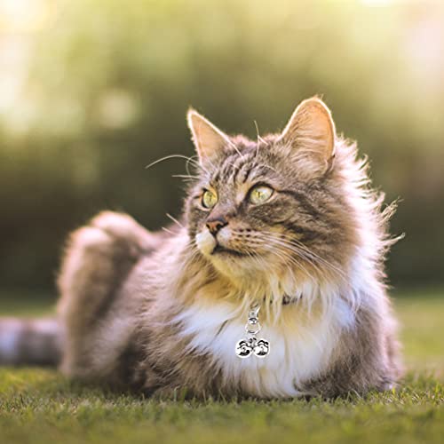 Cat Bell 2 Pack - Cat Collar Accessories Bells Loud with Claw Buckle, Pet Jingle Charm Ornament Training Pendant Jewelry, Tracker for Saving Birds, Neck Decoration for Dogs Kitten, Silver | Pet Bell Jingle Collar Charm Ornament Training Pendant Jewelry wi