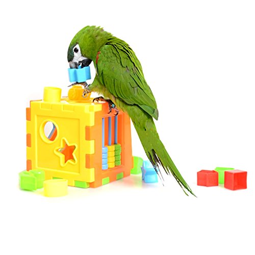 Hypeety Parrot Parakeet Cockatiels Conure Macaw African Greys Cockatoo Amazon Eclectus Budgies Cage for Bird Intelligence Development Training Toys - color: Puzzle Toy A