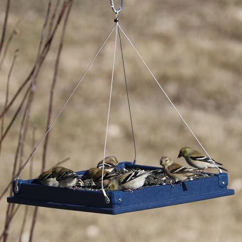 Large Recycled Plastic Platform Bird Feeder - Blue | 12.5-Inch Recycled Plastic Tray with Removable Perforated Steel Drain Plate - Cardinals, Finches, Blue Jays