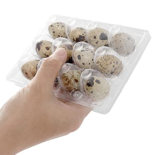 JOIKIT 150 PCS 12 Cavity Quail Egg Cartons Bulk, 3x4 Style Stackable Clear Plastic Small Quail Egg Holder Cartons Cheap Bulks for Quail Eggs Farm Market Refrigerator Display - size: 150PCS