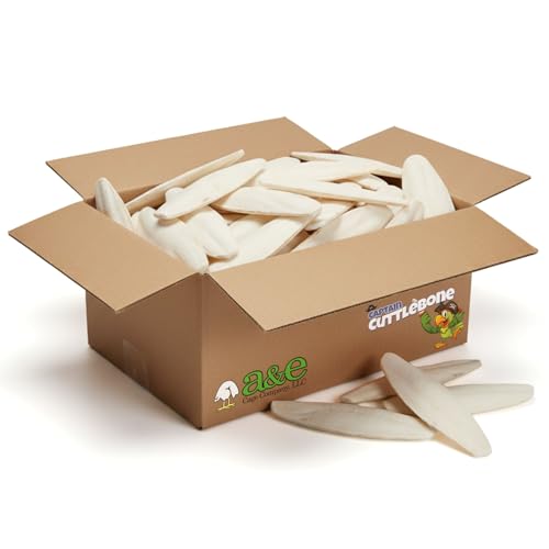 A&E Cage Co Captain Cuttlebone Natural Cuttlebone for Birds, 5 lb Bulk Box | Extra-Large Pieces, Natural Calcium Source, Supports Beak Trimming, For Breeders & Aviaries, 6-8 Inch