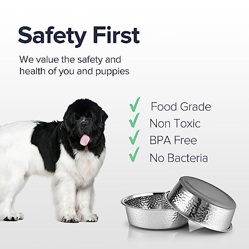 URBUDDIES 2 Pack Hammered Stainless Steel Dog Bowls, 11 Cup, Gray Bottom | Premium Metal Dog Bowls with Non Slip Rubber Bottom, Dishwasher Safe, Easy to Clean - size: 11-Cup