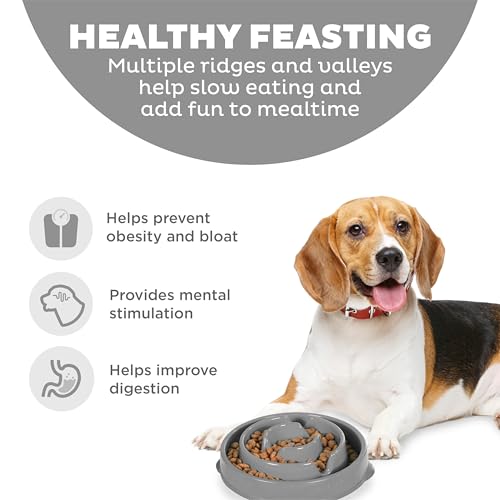 Outward Hound Fun Feeder Slo Bowl – Medium 2‑Cup Capacity, Slow Feeding, Small to Medium Dogs & Cats, Non-Slip, Gray, Drop Pattern - color: Gray, size: Medium