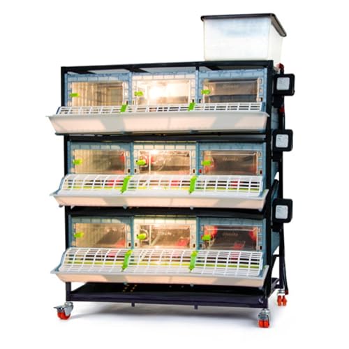 Hatching Time 9.5" Chick Brooders – Stackable or 2-Section Options with Automatic Heating, Modular Design, Easy to Clean, Ideal for Quail, Pheasant, and Baby Chicks (3 Layer) - style: 3 Section, 3 Layer