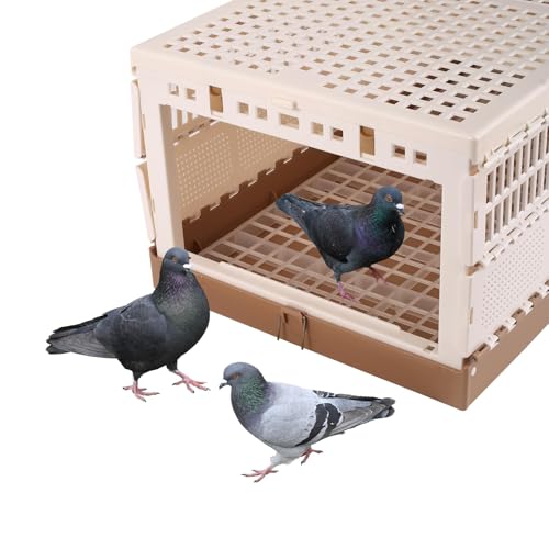 Plastic Portable Pigeon Bird Cage with Handle, XL | Bird Travel Cage, Carrier Pigeon Cage Pairing Cage, Pigeon Nest Box, Easy to Clean for Training Release Competition - size: 28.7"L x 13.4"W x 9.8"H