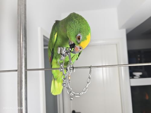 Fosrion Stainless Steel Parrot Chew Toy with Bell, 10.6" Durable Metal Bird Toy for Macaws, Cockatiels, Budgies - Cage Hanging Chew Chain (Coiled Chain with Single Bell) - color: Coiled Chain with Single Bell