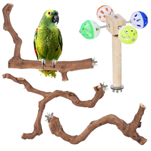 4-Piece Bird Perch Set with Rotating Ball Stand - Natural Wood Bird Gym & Playground for Parrots, Cockatiels, Budgies - size: 4Piece