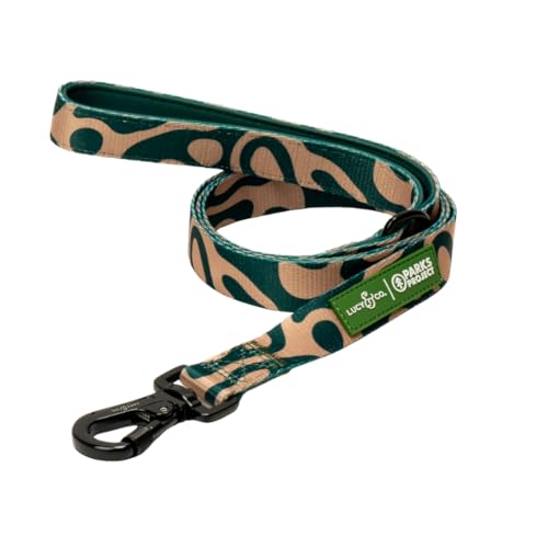 Lucy & Co. x Parks Project Geyser Dog Leash, Durable Matching Dog Lead with Heavy Duty Hardware, Small - color: Geyser, size: Small