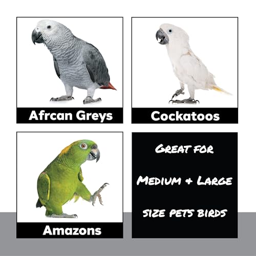 1809 Large Natural Block - Handcrafted Bird Toy For Parrot Macaw African Grey - Unfinished Kiln Dried Wood Pieces With Big Bell - Destructible Chewing Cage Accessories - Big Chewy Blocks - Climbable