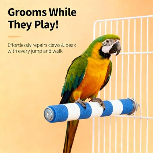 AOTU Bird Perch for Cage, 7.9” x 1” Rough-Surfaced Grinding Stone – Durable Beak & Claw Trimming Accessory for Conure, Cockatiel & Parrot, Non-Toxic Long-Lasting Bird Cage Accessory - color: Blue and White