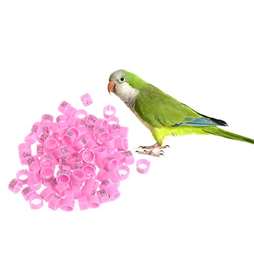 100-Pack 8mm Bird Leg Bands With Numbers Pigeons Foot Bands Clip Rings For Chicken For Quail Poultry Parrot Toys African Grey For Small Parrots For Large Birds Conure Macaw Parrot Toys Parts, White