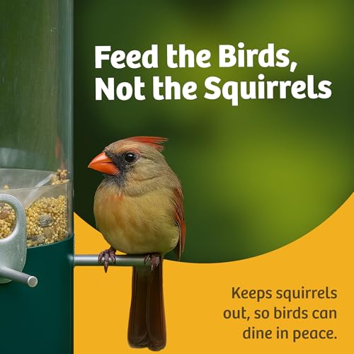 Birds Choice Classic Squirrel Proof Bird Feeder with Pole Mount | Tube Bird Feeder for Cardinals, Chickadees, Woodpeckers | Sturdy Steel for Long-Lasting Use | Backyard Bird Seed Dispenser | Green | Sturdy Steel Tube Seed Dispenser, for Cardinals, Chickad
