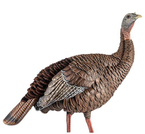 Avian-X LCD Feeder Hen Turkey Decoy with X-Factor Motion System – Realistic Lifelike Collapsible Standing Turkey, Durable Design, Carry Bag & Collapsible Stake for Hunting - style: HDR Hen