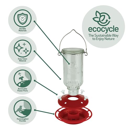 Ruby Roost Recycled Glass Hanging Glass Hummingbird Feeder for Outdoor Décor, 17 Ounce Capacity Nectar Feeder, 4 Removable Easy Clean Ports, Clear - style: Ruby Roost