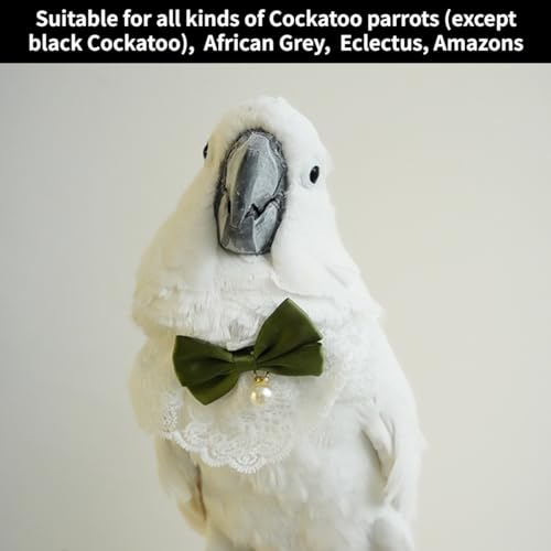 Bird Collar, Bird Clothes, Parrot Bird Supplies, Cute Collar for Medium and Large Birds Eclectus Cockatoo African Grey Amazon Bow Tie Scarf Super Cute Costume Photo Prop for Parrots (Green Collar) - style: Green Collar