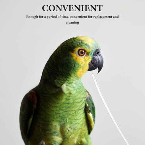 POPETPOP 100 Pcs Parrot Feeding Tubes: Transparent Plastic Baby Bird Milk Feeding Hose, Parrot Water Feeder Tool for Nursery Baby Bird Budgies Cockatiels - Easy to Clean