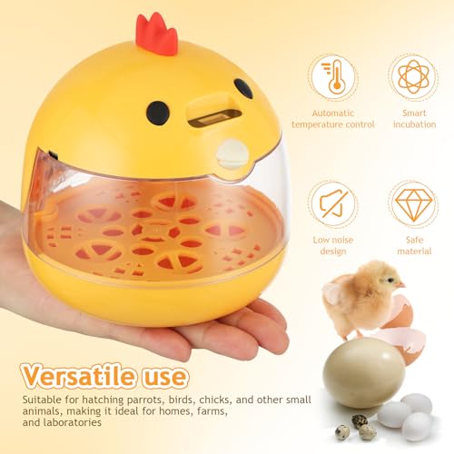BESTonZON Small Egg Incubator for Hatching Chicks Quail Duck, Smart Poultry Hatcher with Automatic Turning Humidity Control, Clear Window Bird Incubadora