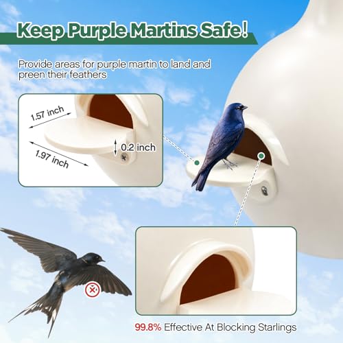 Yaocom 8 Pack Purple Martin Gourds, Plastic Martin Gourds with Circular Entrance, L-Shaped Shelf, Drainage System, Easy to Clean and Maintain Spacious Birdhouse