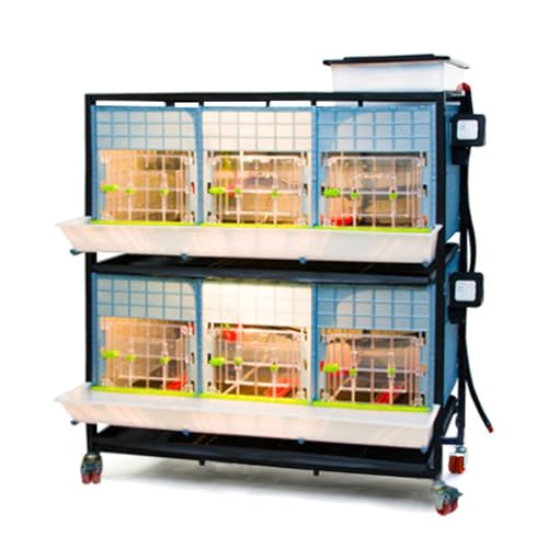 Hatching Time 15" Chick Brooders – Stackable & 2-Section Options, Automatic Heating, Easy-Clean Tray, Includes Feeders & Drinkers, Perfect for Quail, Chickens, Ducks & Baby Birds (2 Layer) - style: 3 Section, 2 Layer