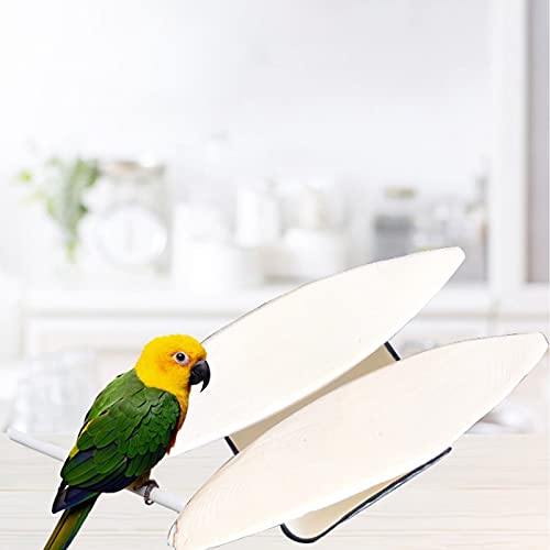 Afkengung 6 Pieces Natural Cuttlebone Calcium Block for Birds Parakeets Reptiles Turtles Grindable Powder Feeding Natural Calcium Supply Improve Pet Immunity Each 4.3-5.1 Inch