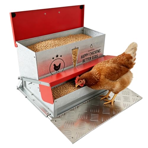40 lb Automatic Chicken Feeder, Rat Proof Treadle No Waste | 40 lb treadle chicken feeder with visible window, galvanized steel body, no waste design, and weatherproof lid