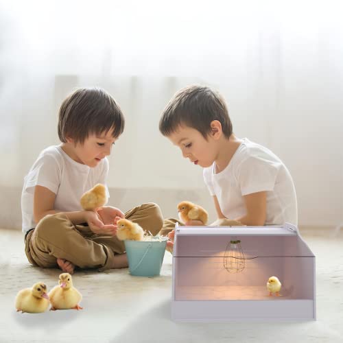 Brooder Box for Chicks | Chick Brooder Heat up to 15 Chicks with Heat Lamp Set Brooder Box，Suitable for Chicks/Duck/Parrot/Lizard （19" X 12" X 12"） - size: 19" X 12" X 12"