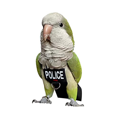 Bird Clothes Parrot Diapers Bird Flight Suits, Reusable Waterproof Diapers pet Bird Supplies (M)