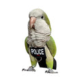 Bird Clothes Parrot Diapers Bird Flight Suits, Reusable Waterproof Diapers pet Bird Supplies (M)