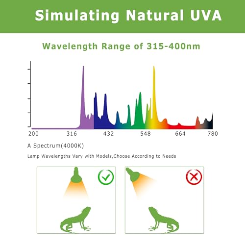 60W Reptile Heat Lamp Bulb, UVA Daylight Basking Spot Light | Simulates Natural Sunlight, Daylight Bulb for Bearded Dragons, Lizards, Tortoises, Chicks & Amphibians, Ideal for Terrariums - color: Basking Spot Lamp, size: 60W Upgraded - 3.1"
