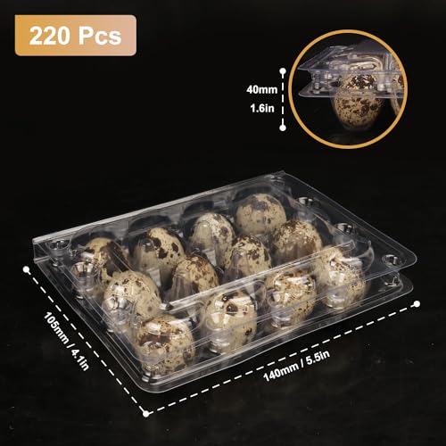 220 Pack Quail Egg Cartons, Clear Plastic Quail Egg Trays, Holds up to 12 Quail Eggs Securely - Your Ultimate Small Eggs Carton Holders for Bulk Storage and Display - size: 220 Pack Quail Egg Cartons 12 Grids