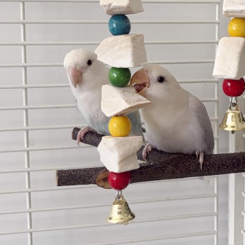 2 PCS Cuttlebone Bird Toys, Parakeet Beak Grinding Stone, Cuttlefish Bone for Small Birds Conures, Budgies, Cockatiels, Lovebirds, Green Cheeks, Cage Accessories for Parakeet