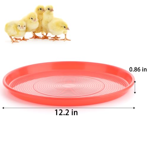 DQITJ 6 Pack Chicken Starter Plate Poultry Food Dispenser Chicken Plastic Brood Feeding Tray for Small Poultry Chicken Duck Pigeon Quail Bird (Dia: 12.2""), Red