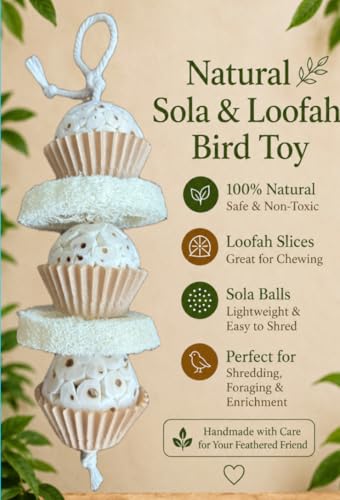 Shred and Destroy Natural Bird Toy - Double Texture Soft & Crunchy - Sola Ball and Loofah Plant - Small Birds - Budgies, Lovebirds - 2 Pack