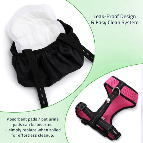 Adjustable Chicken Harness Diaper (5.4ft Leash) – Breathable & Washable Secure Training for Hens, Ducks & Chicks | Outdoor Walking & Discipline Solution Pink - color: Pink, size: Large
