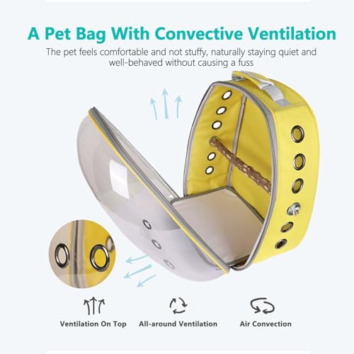 Transparent Parrot Backpack: Wooden Perch, Shoulder Strap, Breathable. Ideal for outings with Parrots, Magpies, & Birds. Comfortable & Spacious. (Yellow-1) - color: Yellow-1