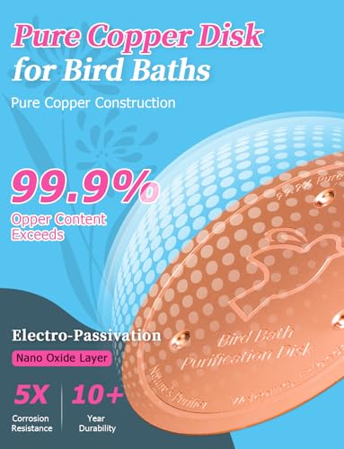 Mellbree 2-Pack Bird Bath Purification Disk, 99.99% Pure Copper Disc Cleaner Safe for Outdoor Bird Bath, Solar Fountains and Concrete Bowls - Bird-Safe Gift for Bird Lovers 0.6mm (Bird Pattern) - color: Copper-Bird